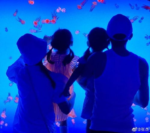 张杰与谢娜一家四口温馨合照