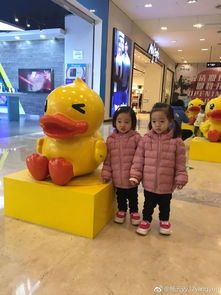 双胞胎兄妹合影照片