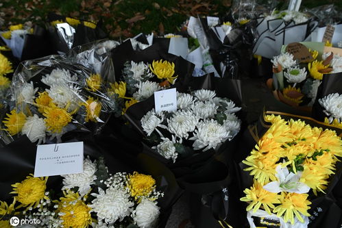 悼念活动现场摆放的鲜花