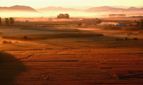 夏日江河湖海，我亲历中国水上夏收的丰收盛景