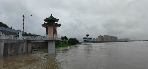 暴雨预警再拉响！多地即将迎来新一轮强降雨，你准备好了吗？