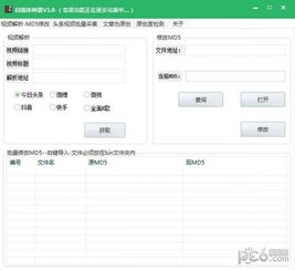 自媒体博主正在撰写文章