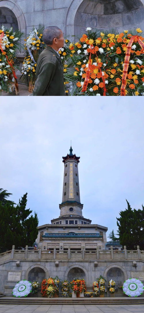 抗战胜利80周年纪念章将颁发，我的爷爷也曾佩戴过这枚勋章