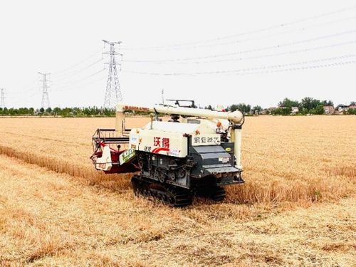无人驾驶收割机在麦田工作