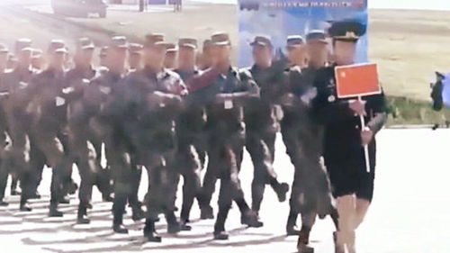 多国部队联合阅兵场景