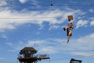 你好星期六泼水直播背后的真实故事，我全程参与了！