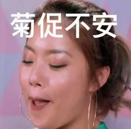 网友恶搞文淇哭泣表情包GIF动图