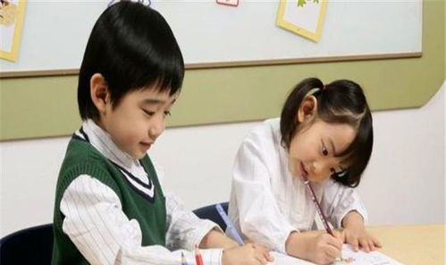 龙凤胎中考成绩仅差4分，背后的努力与家庭温情令人动容