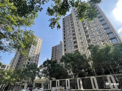 杭州新房销售现场