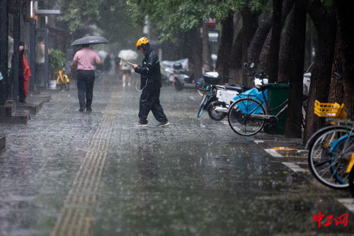 外卖员在风雨中骑行的背影