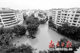 重庆彭水县街道被洪水淹没的实景图