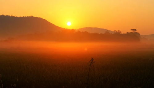 乡村生活也可以充满诗意：我的田园日常与四季之约