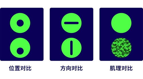 粉丝制作的对比图展示T.O.P与ENHYPEN成员差异