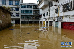 榕江最大商场突遭洪水袭击，现场画面令人震撼！