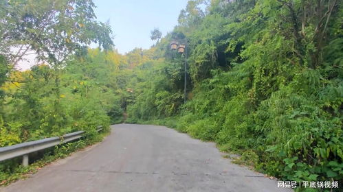 地表热浪滚滚！我亲历北方40℃高温，南方湿热也来“加戏”