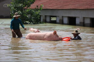 工人在洪水中挣扎