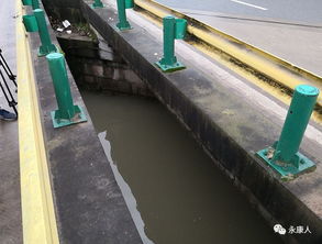 群众合力将落水者拉上岸