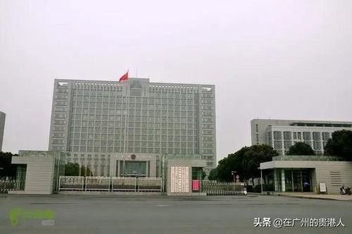 政府公告澄清泡面通报为谣言