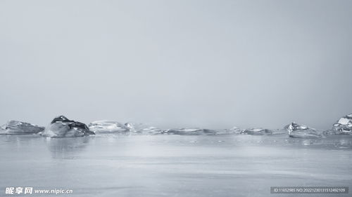 和平鸽飞越废墟场景设计图
