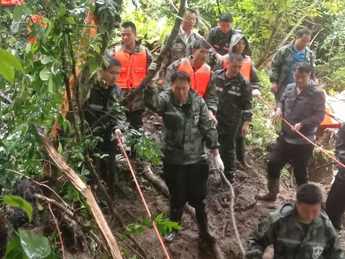 猴子河特大桥引桥垮塌救援现场直击：生死一线的惊险10分钟