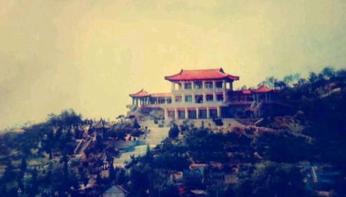 南方湿热天气下的街头景象