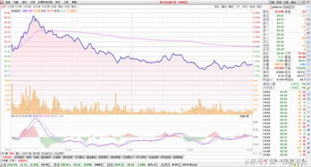 A股全线暴涨，沪指创年内新高！我亲历这波牛市的狂热时刻