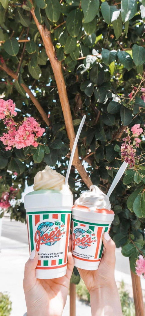 树莓站在窗边沉思的照片