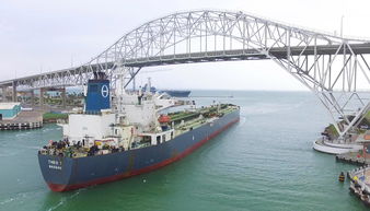 美国石油出口港口繁忙景象