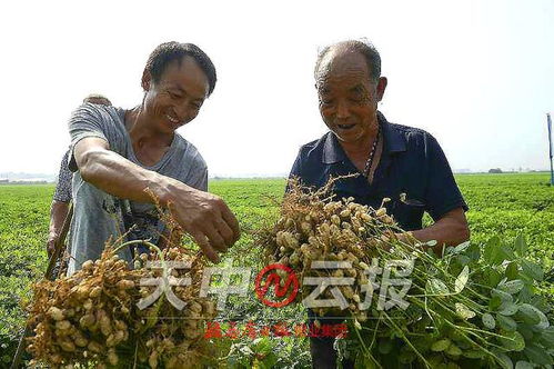 中国镇当时丨激活“强镇”引擎 中国经济“底盘”更稳