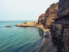 潮起渤海网聚黄蓝：一场科技与海洋的奇妙碰撞