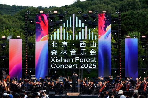 森林音乐会现场