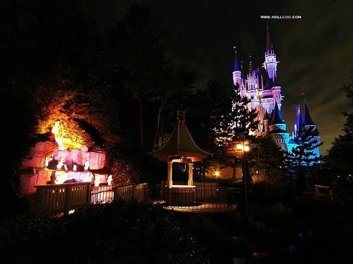 人类对迪士尼的开发不足10%？一个普通人眼中的奇幻世界探索之旅