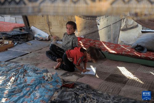 加沙民众：我们连石头都没有了｜战火下的生存实录