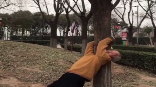 一群年轻人在公园一起做晨练