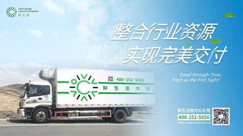 荔枝冷链运输中的快速打包流程