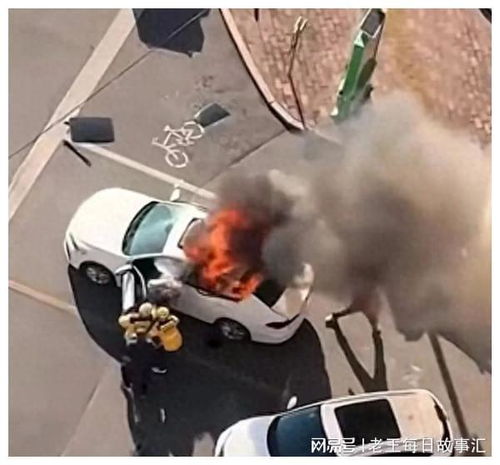 又一个泡沫破了，旅游正成为2025年最难做的生意？