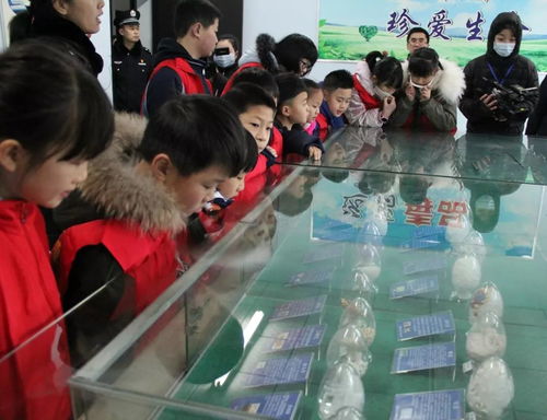 新型毒品仿真包装图片