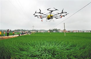 农田中无人机喷洒农药作业图
