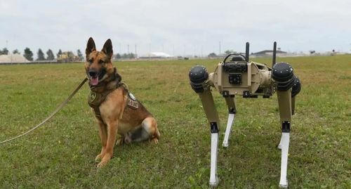 解放军最新款机器狗正在进行训练