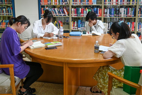 兄妹两人在图书馆认真学习