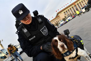 第一视角直击缉毒一线，沉浸式执法视频让人心惊：毒品从未远离我们