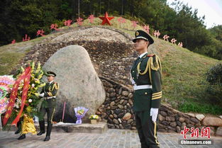 无名烈士墓碑前鲜花