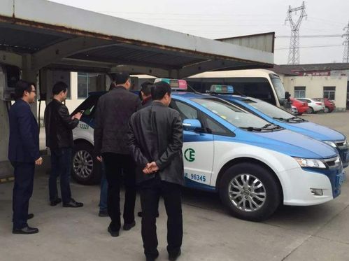 国产新能源车展示