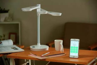 图片内容：学生深夜努力学习