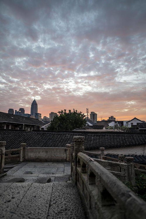 俄罗斯姑娘绍兴勇救落水老人，网友：人美心善的‘喀秋莎’