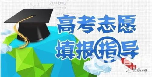 学生正在认真思考志愿填报选项