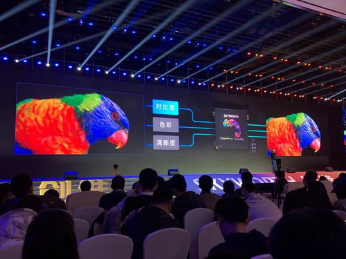 观众观看深圳卫视4K直播