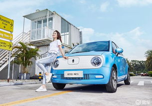 长城汽车欧拉品牌展厅概念图