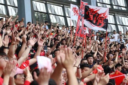 盐城球迷应援卷出新高度！苏超绿茵场上演‘十三太保’狂欢盛宴