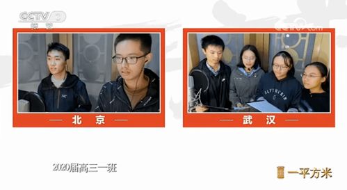 观众在家中观看节目激动不已